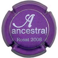 ANCS001