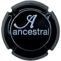 ANCS003