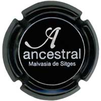 ANCS005