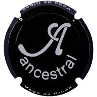 ANCS007