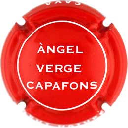 AVCP002