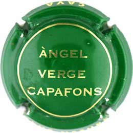 AVCP003
