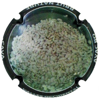 AVBO079