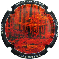 AVBO082