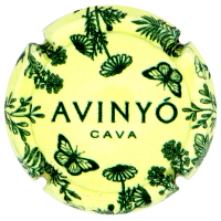 AVNY152