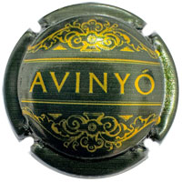 AVNY162